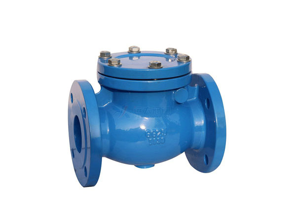 Check Valves